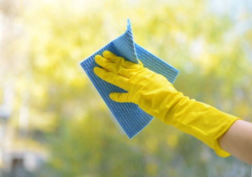 Recycling-focused carpet cleaning service in Carshalton