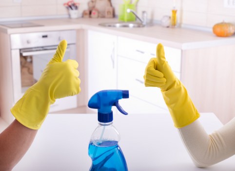 Carpet cleaner assessing a room for safety before starting work