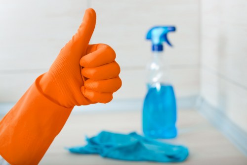 Persistent pet odour stain treatment in a Carshalton living room