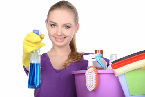 Cleaning pet urine stains from upholstery in a Carshalton home